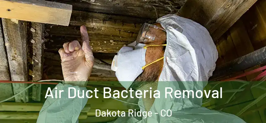  Air Duct Bacteria Removal Dakota Ridge - CO