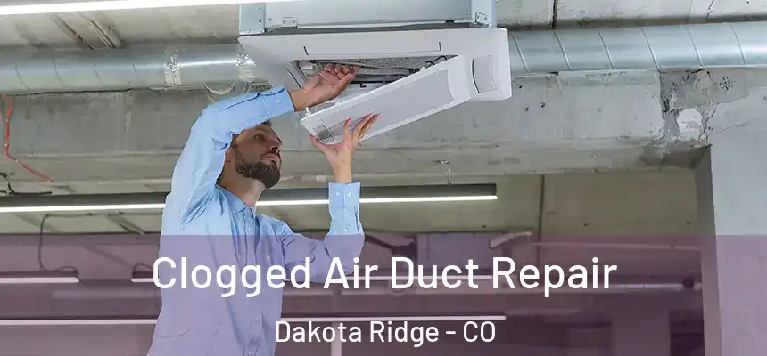  Clogged Air Duct Repair Dakota Ridge - CO