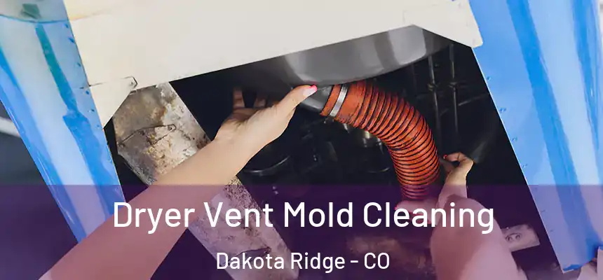  Dryer Vent Mold Cleaning Dakota Ridge - CO