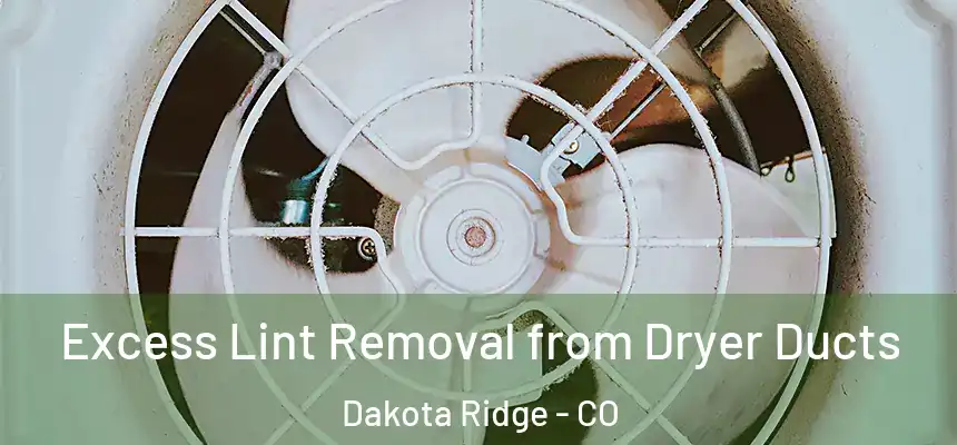  Excess Lint Removal from Dryer Ducts Dakota Ridge - CO