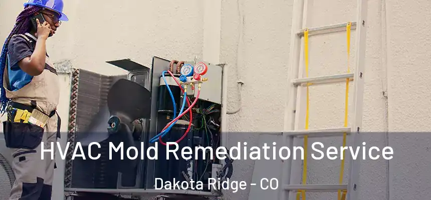 HVAC Mold Remediation Service Dakota Ridge - CO