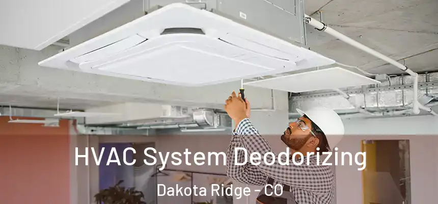  HVAC System Deodorizing Dakota Ridge - CO
