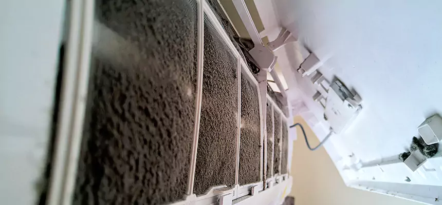 Preventive Air Duct Bacteria Removal in Dakota Ridge