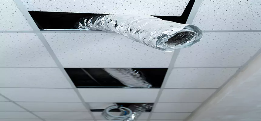 Affordable HVAC Sanitizing After Pest Removal in Dakota Ridge