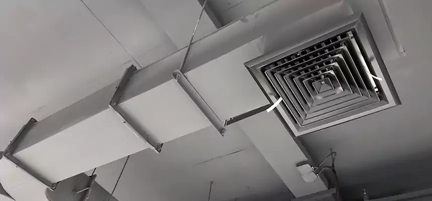 Restorative Allergy Relief Vent Cleaning – Coil, Blower & Housing Detail in Dakota Ridge