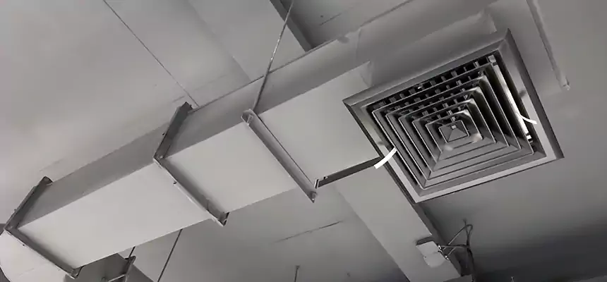 Our Pest Removal From Ducts Services in Dakota Ridge, CO