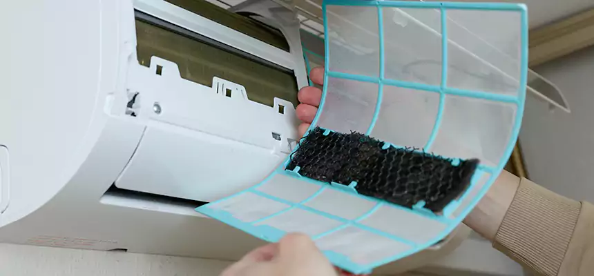 Gentle Ductwork Odor-Control Pet Dander Duct Cleaning in Dakota Ridge, CO