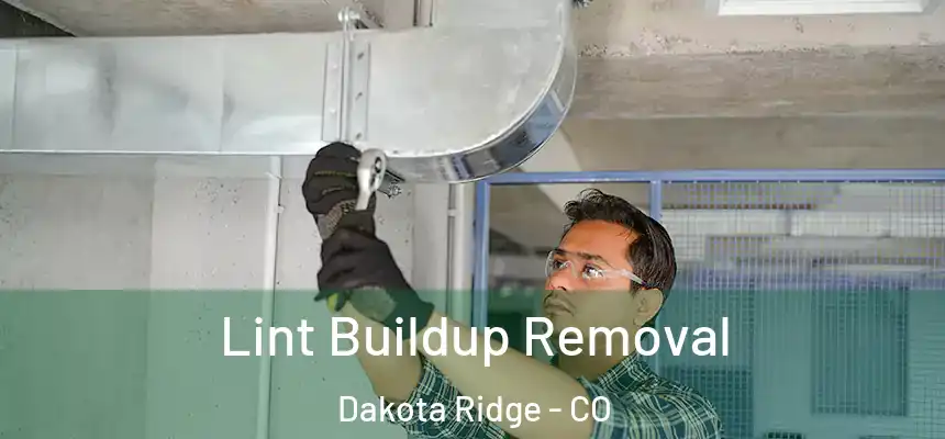  Lint Buildup Removal Dakota Ridge - CO
