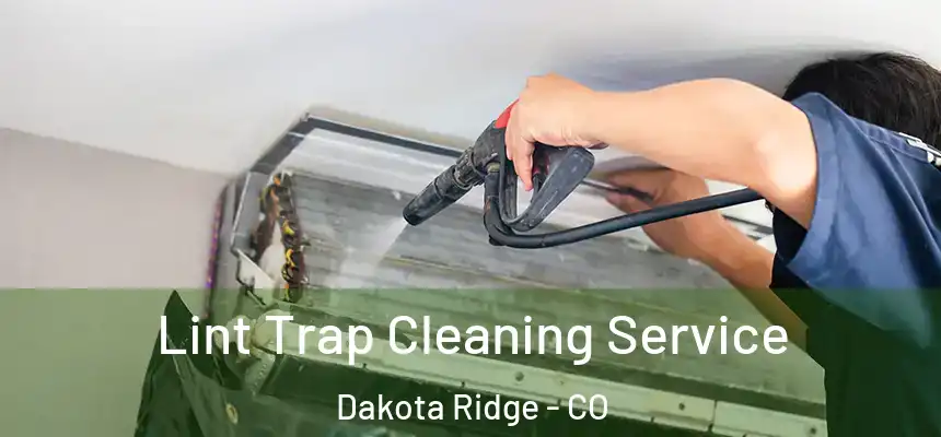  Lint Trap Cleaning Service Dakota Ridge - CO