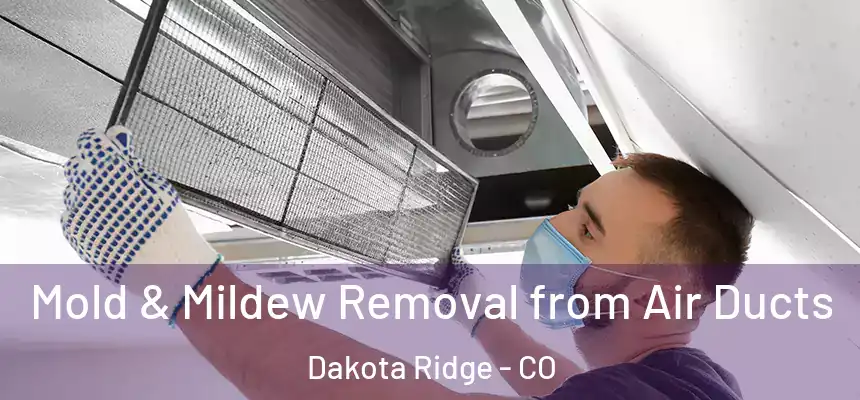  Mold & Mildew Removal from Air Ducts Dakota Ridge - CO