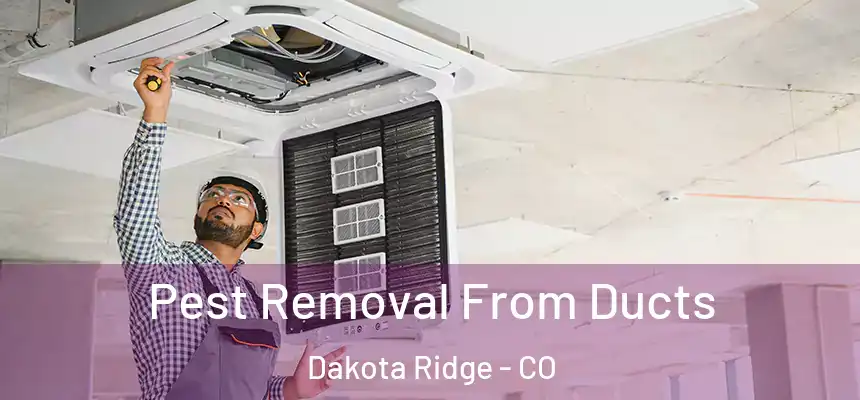  Pest Removal From Ducts Dakota Ridge - CO