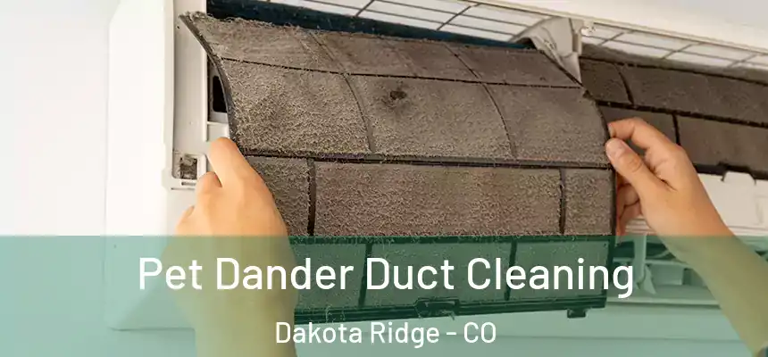  Pet Dander Duct Cleaning Dakota Ridge - CO