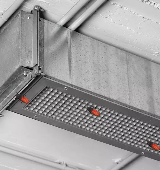 About Air Duct Cockroach Removal in Dakota Ridge, CO