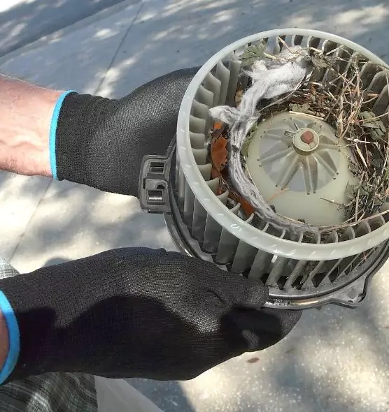 About Air Duct Rat Removal in Dakota Ridge, CO