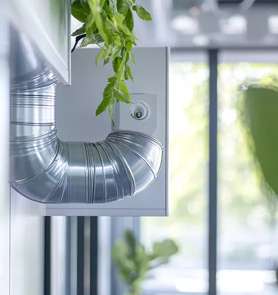 Professional Eco-Safe Dryer Vent Cleaning in Dakota Ridge, CO