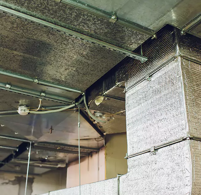 Why Homeowners & Businesses Trust Us in Dakota Ridge, CO?