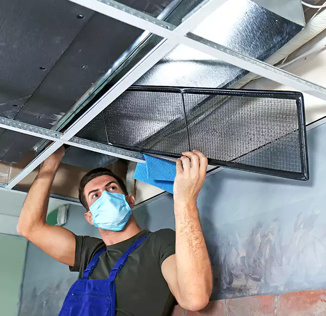 Why Homeowners Businesses Trust Us in Dakota Ridge, CO